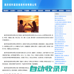 重庆佰科蓝亚信息科技有限公司